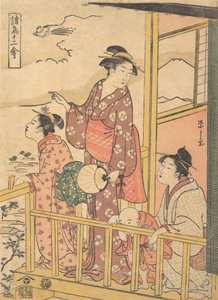 A Long-tailed Fowl Onagadori, fra serien Twelve Assorted Birds Shocho junikin..., ca. 1791.