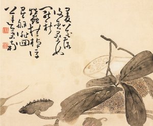 Malt albumblad - Lotusplante, 1700-tallet