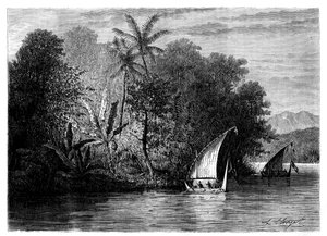Et syn i Celebes, Indonesia, 1800-tallet.