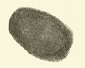 Fingeravtrykk (gravering)