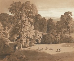 Parkland ved Minto House (penn og blekk og vask)