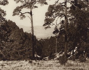 av Hugo Brehme