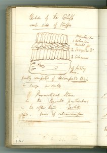 ‘Sketch of the Cliff west side of Staffa’, side fra Sir Humphry Davys Personal Notebook (blekk på papir)