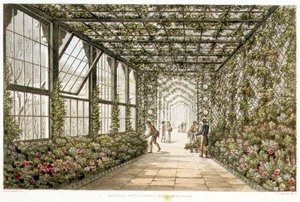 Corridor of a Conservatory, gravert av Joseph Constantine Stadler (fl.1780-1812) fra 