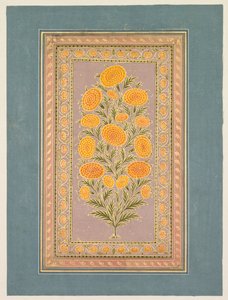 Blomstrende ringblomst, ca. 1765. av Hunhar II