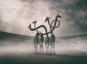  av Hussain Buhligaha