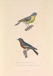  av Hyacinthe Yves Philippe (1781 1846) Potentien
