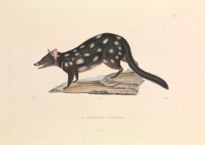  av Hyacinthe Yves Philippe (1781 1846) Potentien