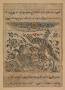 Par av ørn, folio fra en Manafi