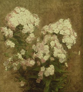 Phlox, 1870 av Ignace Henri Jean Fantin Latour