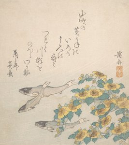 Fisk som svømmer med gule blomster, ca. 1830. av Ikeda Eisen