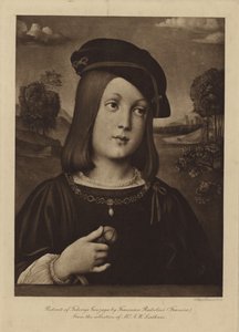 Portrett av Federigo Gonzaga