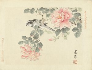 Svart og hvit fugl mellom rosa roser Blomster- og fugleskisser av Keinen (serietittel) Keinen kacho gafu (serietittel på objekt)