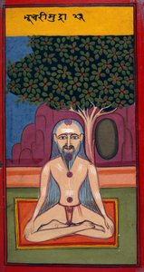 Legg til 24099 fol.114v A Yogi in Bhusari-stilling, fra Asanas and Mudras (Hatha yoga) (gouache på papir) av Indian School