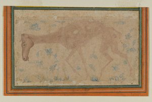 An Emaciated Horse, fra Mughal eller Deccan, midten av 1600-tallet (blekk- og fargevask på papir) av Indian School