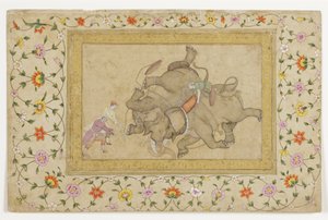 En elefantkamp, med blomster-arabesk på kanten, ca. 1610 (ugjennomsiktig wc og gull på papir) av Indian School