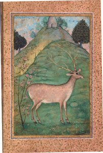 Buck in a Landscape, ca. 1595 (ugjennomsiktig wc og gull på papir) av Indian School