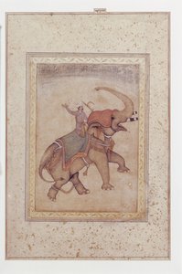 Elefant og mahout (elefantfører), ca. 1595–1600 (Ugjennomsiktig akvarell, blekk og gull på papir) av Indian School