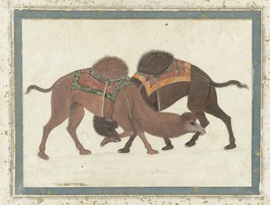 Kamp mot kameler, ca. 1680-1700 av Indian School