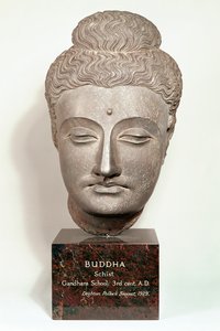 Hodet fra en statue av Buddha, fra Gandhara, Nordvest-India (grå skifer)