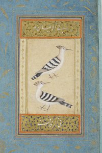 Hoopoes, ca. 1590 (ugjennomsiktig wc og gull på papir) av Indian School
