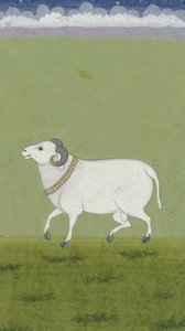 Ram med gullkrage, 1700-1799 av Indian School