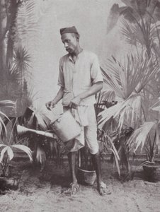  av Indian photographer