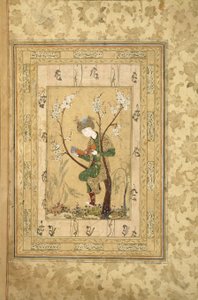 Ungdom sitter i gaffelen til et blomstrende tre, 1560-tallet av Iranian Master