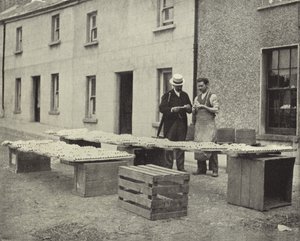 Lage leirrør, Drogheda (s/hvitt-bilde) av Irish Photographer