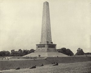The Wellington Testimonial, Phoenix Park (s/hvitt-bilde) av Irish Photographer