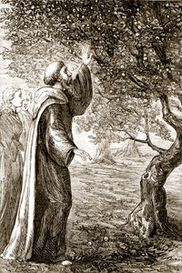 St. Columba endrer bitter frukt til søt, fra The Trias Thaumaturga, eller Three Wonder-Working Saints of Ireland, av Mary Cusack (1829-99) utgitt ca. 1890-tallet av Irish School