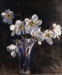 Magnolia i en vase