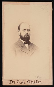 Portrett av Charles Abiathar White 1826-1910, 1868. av Isaac Augustus Wetherby