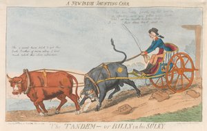 Ein neuer irischer Jaunting Carr. Das Tandem - oder Billy in seinem Sulky av Isaac Cruikshank