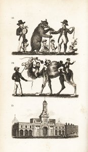 Dansende bjørn og hund, kamel og ape og Royal Exchange
