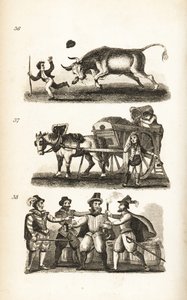 The Enraged Ox, the Dustman and the Taking of Guy Fawkes av Isaac Taylor