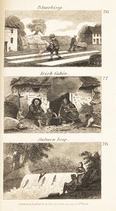Handler i Regency Ireland: bleking, irsk hytte og laksesprang av Isaac Taylor