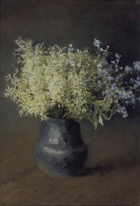 Ville fioler og forglemmigei, 1889
