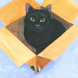 Katt i esken