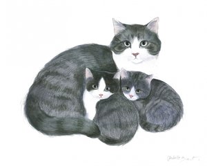 Katt og to kattunger