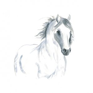 Studie av hest i bevegelse