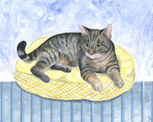 Putekatt