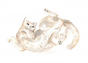 Leken katt