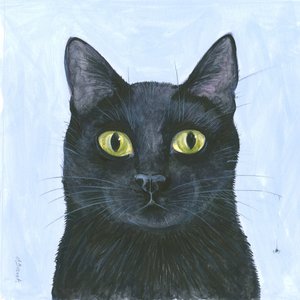 Kattens værhår