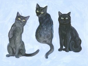 Studie av tre katter