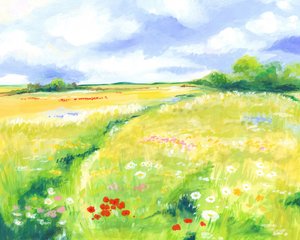 Eng med villblomster