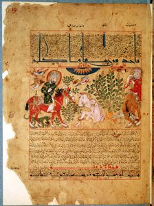 Ms. Arabe 2964 fol.19 Doktoren Anoromachus kurerer sin bror bitt av en slange, fra Treatise of Theriac etter Galien, 1217 av Islamic School