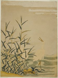Egrets in the Reeds av Isoda Koryusai