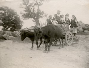 Familie på oksevogn, Sardinia, Italia, ca. 1910