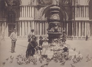 Piccioni (s/hvitt bilde) av Italian Photographer